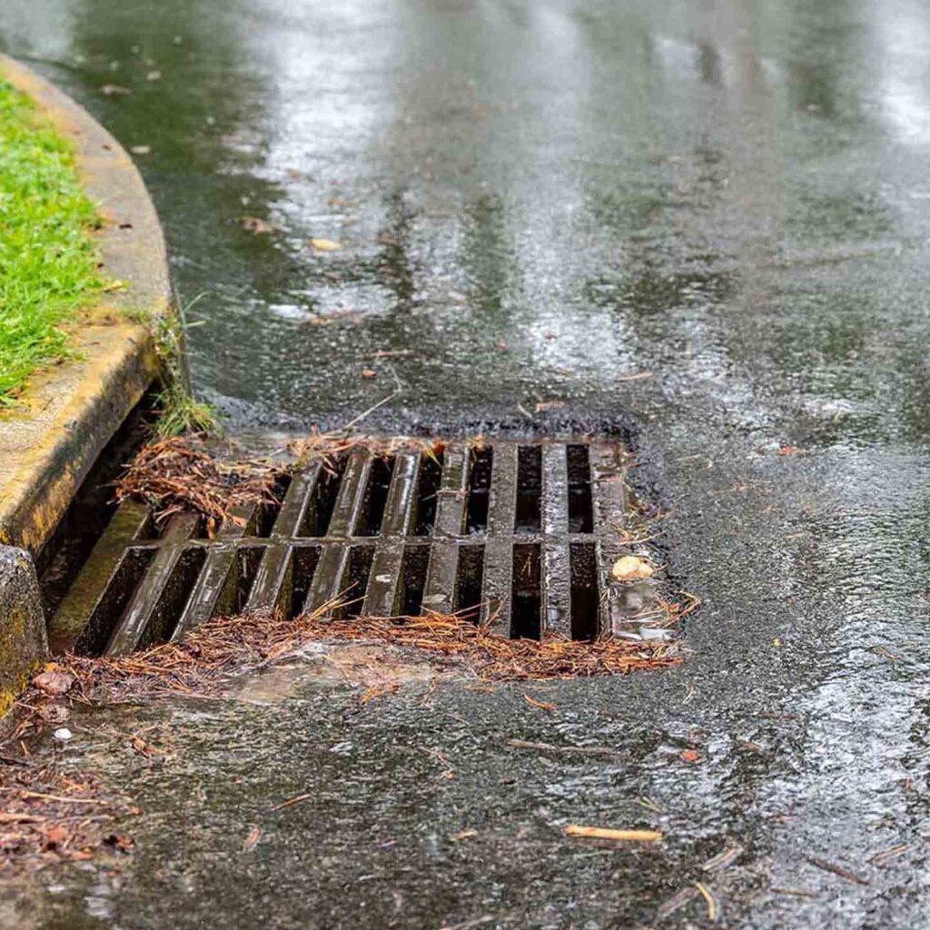 Blocked Stormwater Drains in Sydney