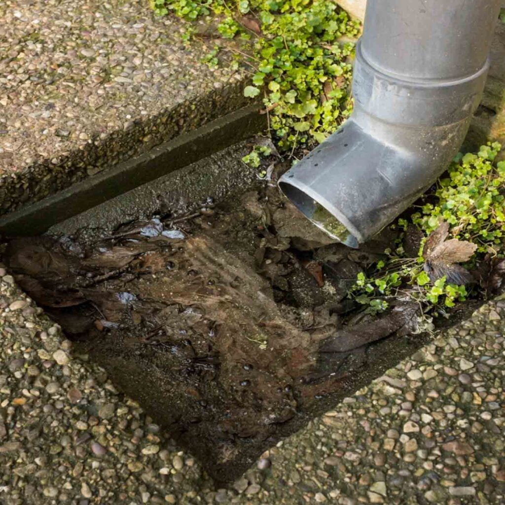 Blocked Outside Drain in Sydney